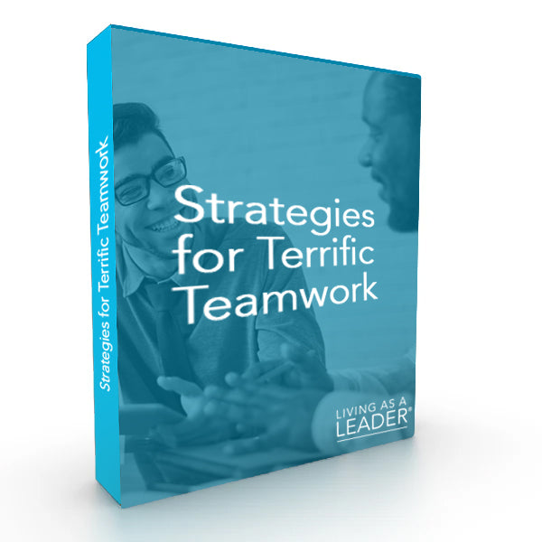 Strategies for Terrific Teamwork